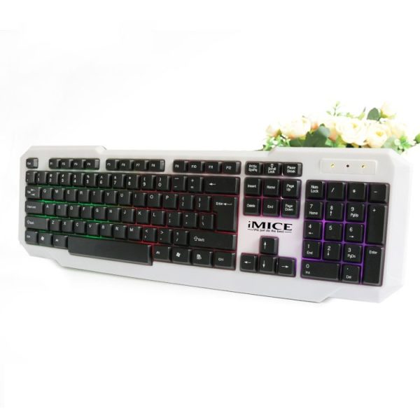 Kb6016b 2.jpg