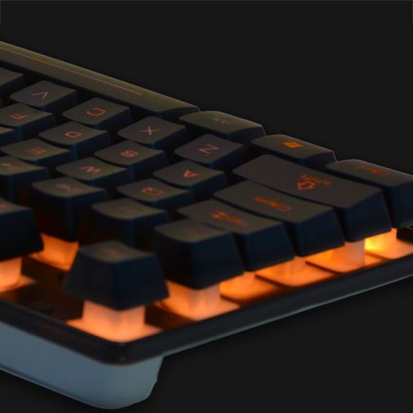 Kb6216 3.jpg