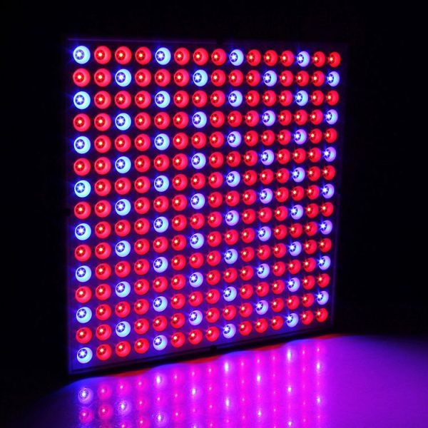 Led0468 8.jpg