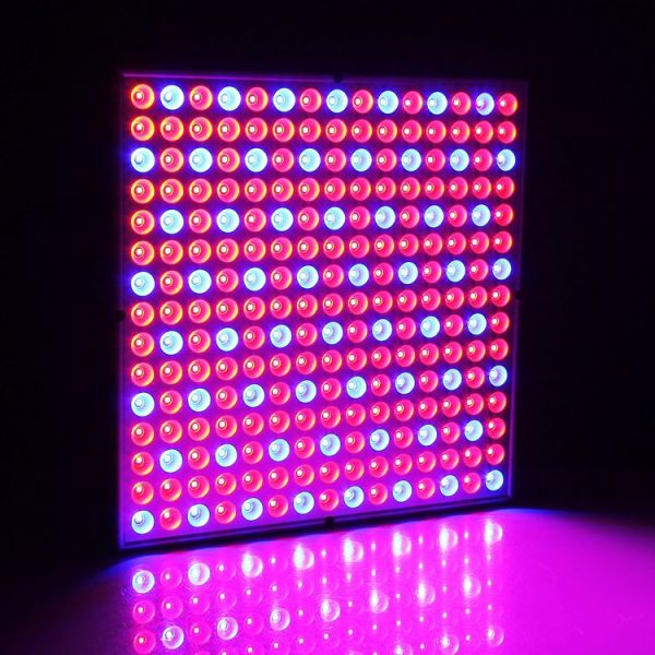 Led0469 8.jpg