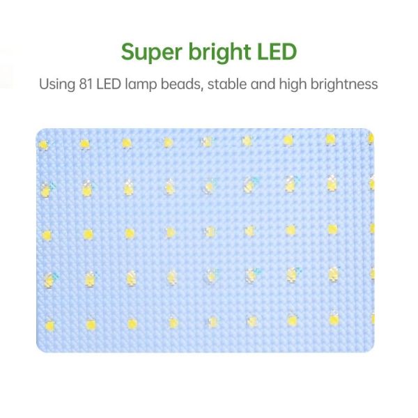 Led2174 6.jpg