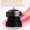 Led2210 5.jpg