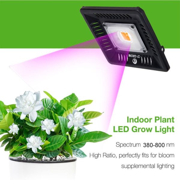 Led3160 13.jpg