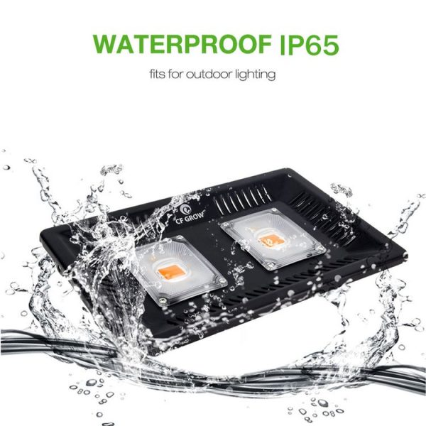 Led3160 7.jpg