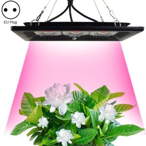 Led3162 1.jpg