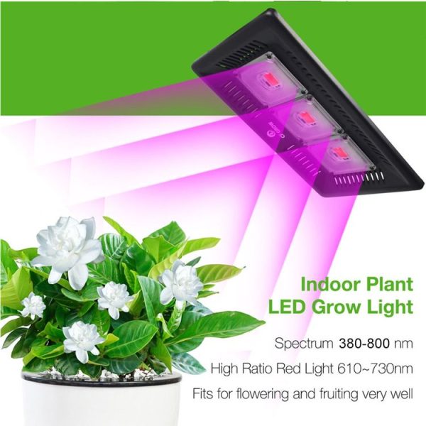 Led3162 13.jpg