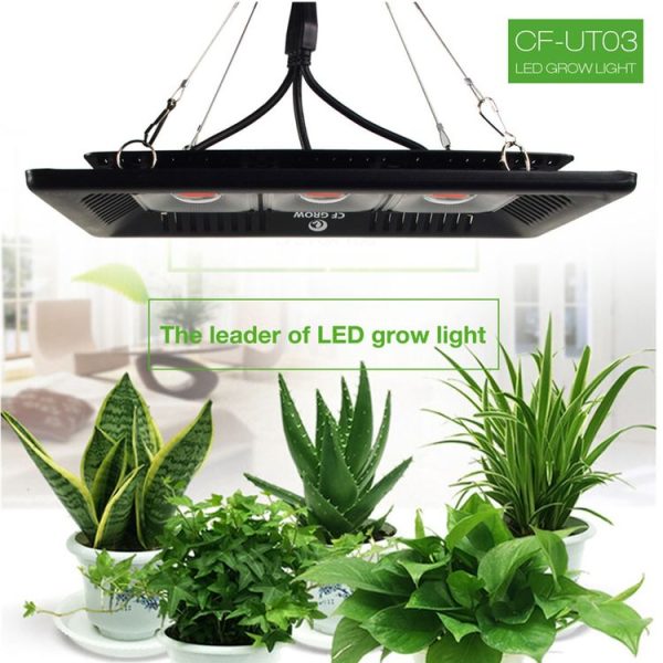 Led3162 14.jpg