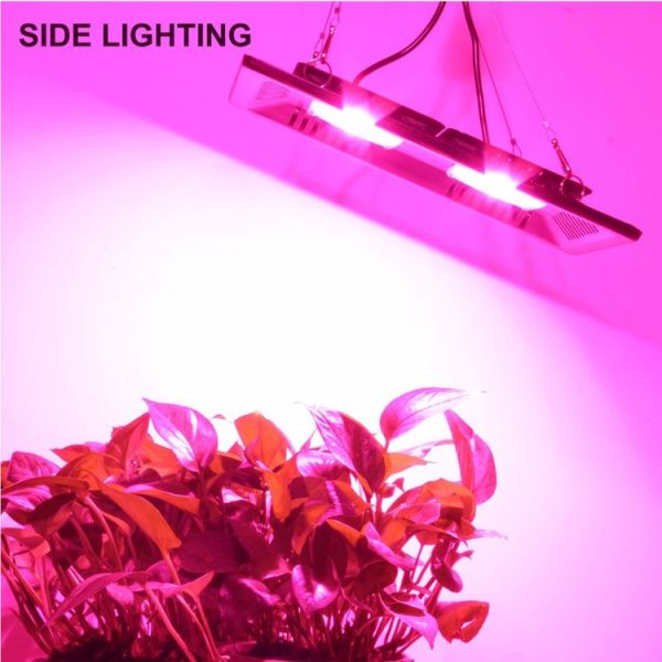 Led3162 15.jpg
