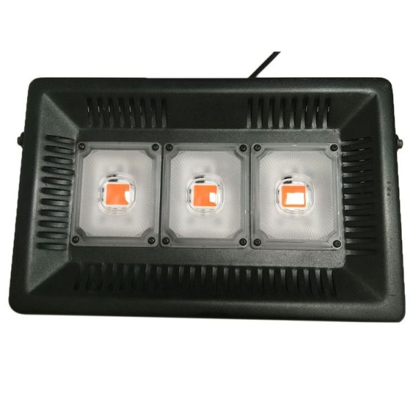 Led3162 2.jpg