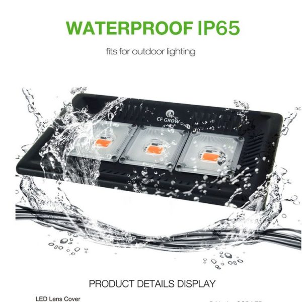 Led3162 7.jpg
