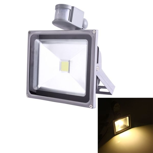 Led5013ww 1.jpg