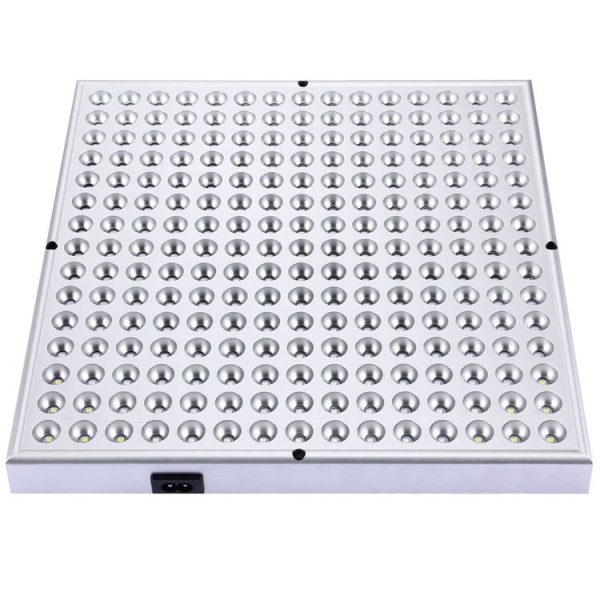 Led6175 3.jpg