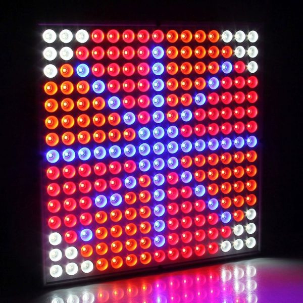 Led6175 9.jpg
