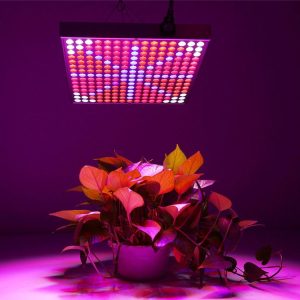Led6176 1.jpg