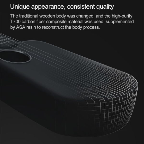 Mi0107b 10.jpg