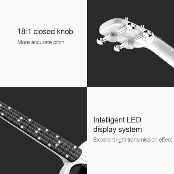 Mi0107b 5.jpg