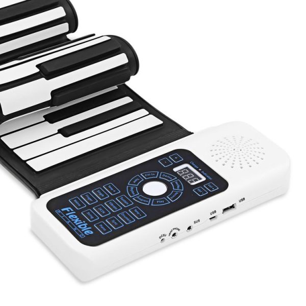 Mi5306 5.jpg