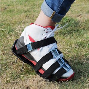 Og5085b 1.jpg