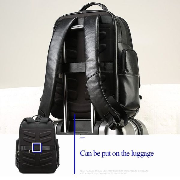 Og6582 8.jpg