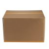 Pack1384 3.jpg