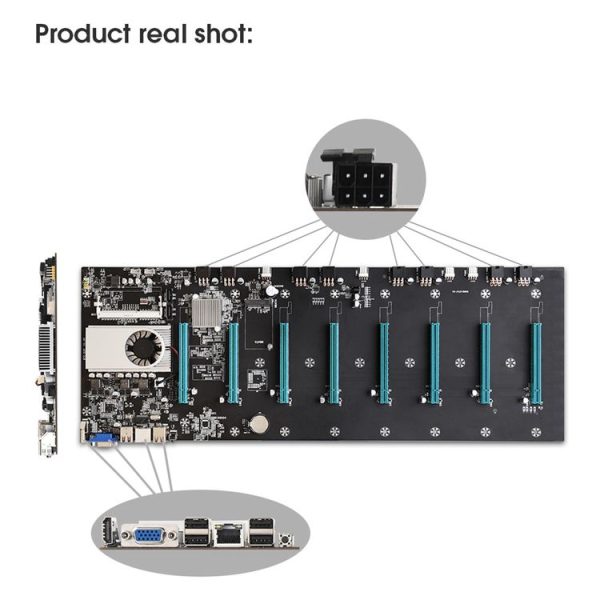 Pc1911 5.jpg