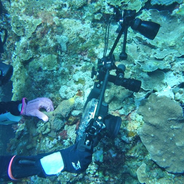 Pu7001 13.jpg