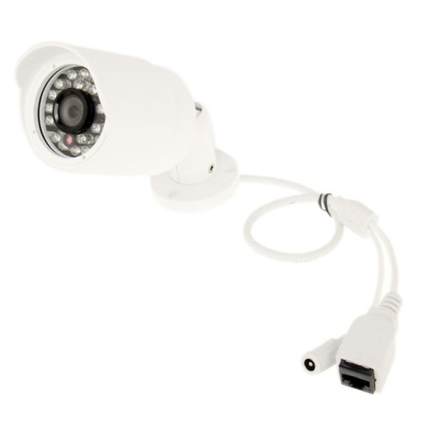 S Spc 0119 6.jpg
