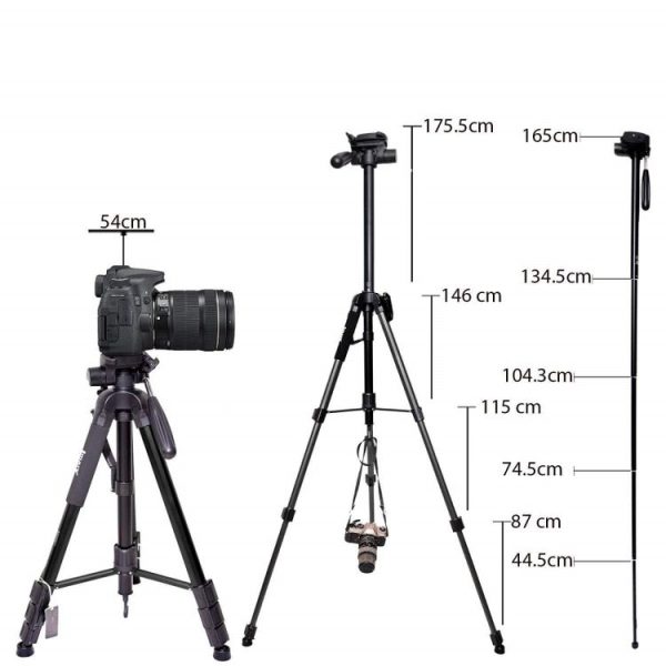 Sya002309801a 3.jpg