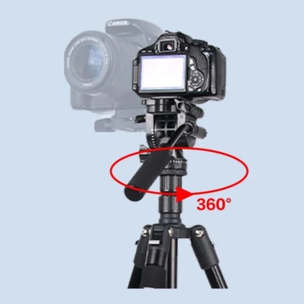 Sya0025723 8.jpg