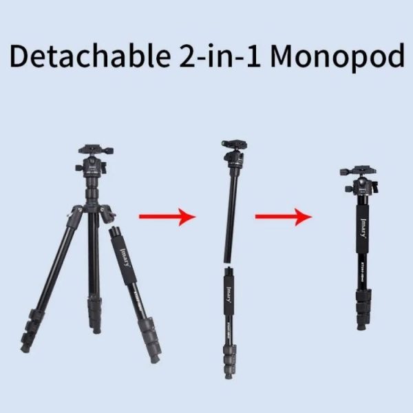 Sya0025724 3.jpg