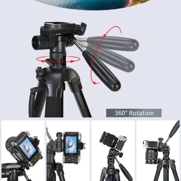 Sya0025729 6.jpg