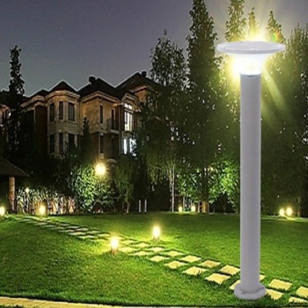 Tbd0392125004 2.jpg