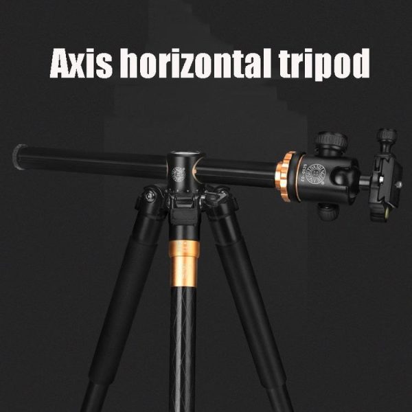 Tbd05313852 9.jpg