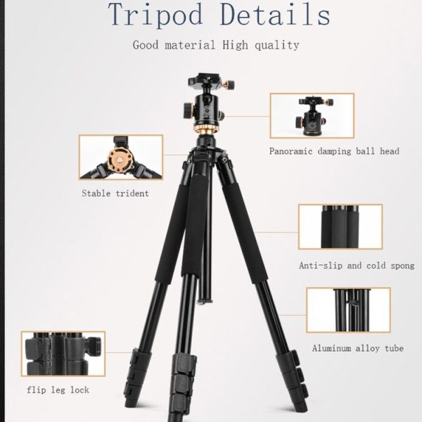 Tbd0531798301 9.jpg