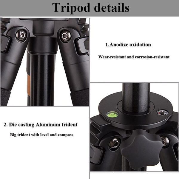 Tbd05318021 7.jpg