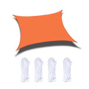 Tbd0583680601d 1.jpg