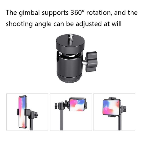 Tbd0602209503 6.jpg