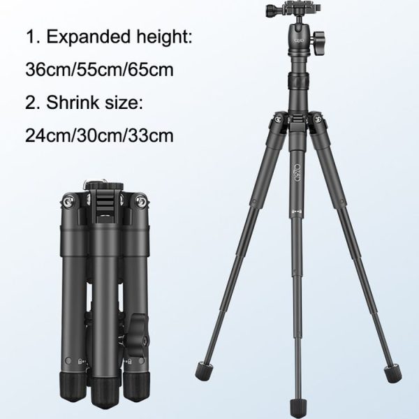 Tbd06027950 6.jpg