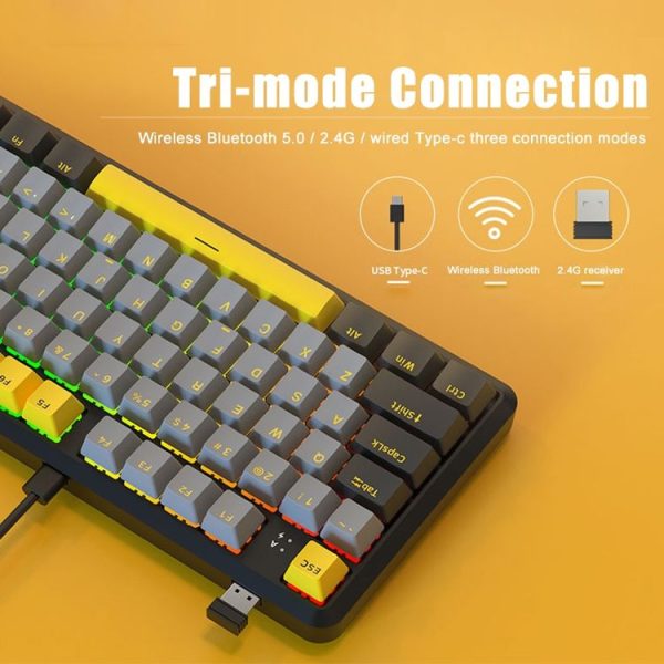 Tbd0603610001 3.jpg