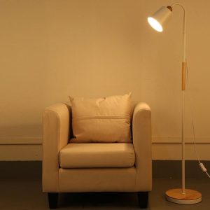 Zy12488430w 1.jpg