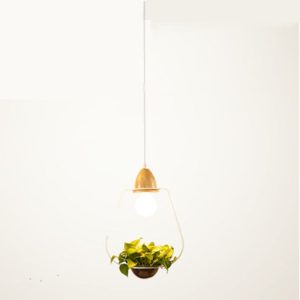 Zy16591565w 1.jpg